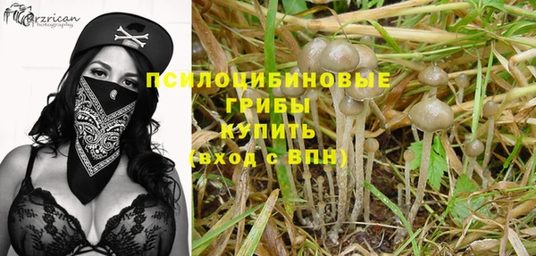 герыч Алзамай
